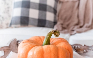 Otoño en casa